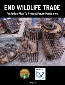 Image of END WILDLIFE TRADE An Action Plan to Prevent Future Pandemics