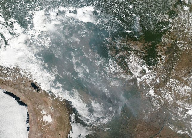 This natural-color image of smoke and fires in several states within Brazil including Amazonas, Mato Grosso, and Rondônia was collected by NOAA/NASA's Suomi NPP using the VIIRS (Visible Infrared Imaging Radiometer Suite) instrument on August 20, 2019. Although it is not unusual to see fires in Brazil at this time of year due to high temperatures and low humidity it seems this year the number of fires may be record setting. According to Brazil’s space research center INPE almost 73,000 fires have been recorded so far this year. INPE is seeing an 83% increase over the same period in 2018. NASA's Earth Observing System Data and Information System (EOSDIS) Worldview application provides the capability to interactively browse over 700 global, full-resolution satellite imagery layers and then download the underlying data. Many of the available imagery layers are updated within three hours of observation, essentially showing the entire Earth as it looks "right now.” Suomi NPP is managed by NASA and NOAA. Image Courtesy: NASA Worldview, Earth Observing System Data and Information System (EOSDIS).