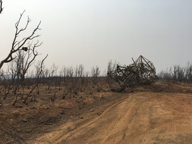 Fire tornado damage: WAPA's steel infrastructure mostly survived the fire intact, with one exception: the site of the fire tornado in Redding, July 26. The fire tornado destroyed at least three steel structures, including ripping two from the ground. Image by Western Area Power (Staff photo) (CC BY 2.0).