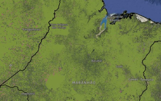 A map of Caru, Brazil via Global Forest Watch. (CC BY-ND 4.0)