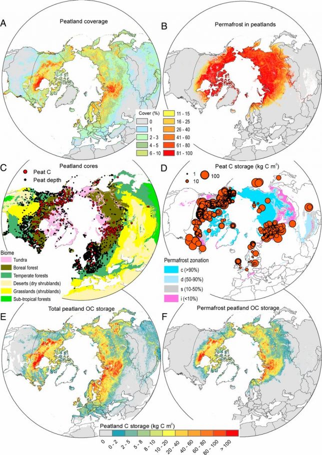 Peatland data and properties north of 23°N latitude. (A) Estimated areal coverage (in percentage) of peatlands based on the national soil inventory maps and SoilGrids250m. (B) Estimated areal coverage (in percentage) of permafrost in mapped peatlands based on the national soil inventory maps and SoilGrids250m, including a maximum threshold for permafrost at MAAT +1 °C (use the same legend as in A). (C) Spatial distribution of peat core sites with peat depth data (n = 7,111) and peat organic C storage (n = 782) over a map of biome distributions (biomes adapted from ref. 32). Sites with peat N stock data (n = 105) are not shown in the map (see Dataset S6), but are predominantly located in boreal forest and tundra biomes. (D) Sites with peat organic C storage data, with the size of site symbols proportional to measured peat organic C storage, over a map of permafrost zonation (33). (E) Estimated total peatland C storage and (F) permafrost peatland C storage.