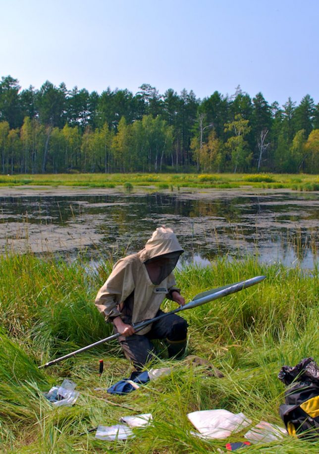 Sampling peatland in Siberia. Gustaf Hugelius, Author provided.