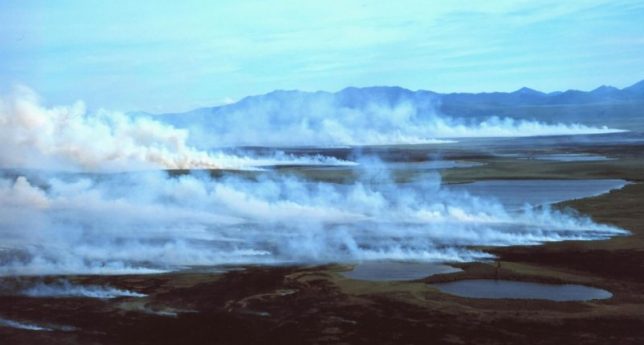 Boggy tundra in the western Arctic lets peat layers build up in the soil. Image: By Western Arctic National Parklands, via Wikimedia Commons