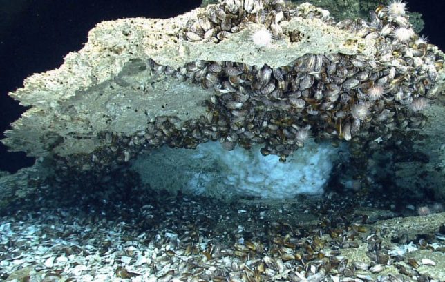 A rich source of methane: Gas hydrate beneath a rock in the Gulf of Mexico. Image: By US Geological Survey (public domain), via Wikimedia Commons