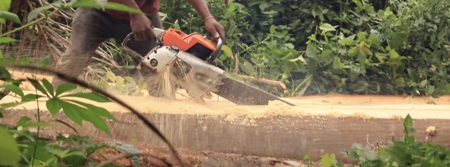 A chainsaw slices through timber near Afi River Forest Reserve. Image for Mongabay by Orji Sunday.