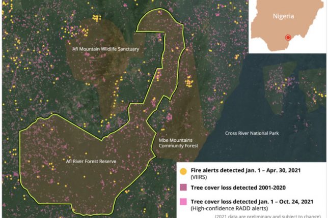 Satellite data show clearing and associated fire events in Afi River Forest Reserve and other protected areas in Cross River state, Nigeria.