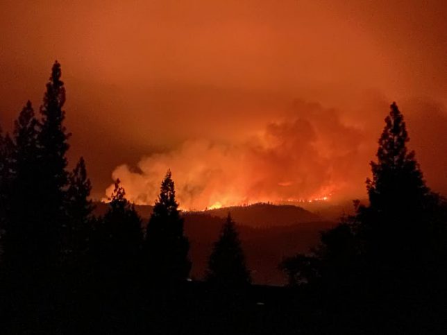 During the Dixie Fire, firefighters used an area that had been strategically thinned in the past to set backfires to prevent the wildfire from spreading into the community of Quincy. Ryan Tompkins, CC BY-ND