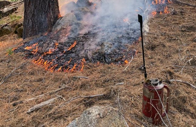 Tools for a prescribed burn conducted in the Sierra Nevada in November 2019. Susan Kocher, CC BY-ND