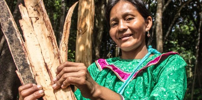 Small forestry in the Peruvian Amazon. Photo by Juan Carlos Huayllapuma/CIFOR