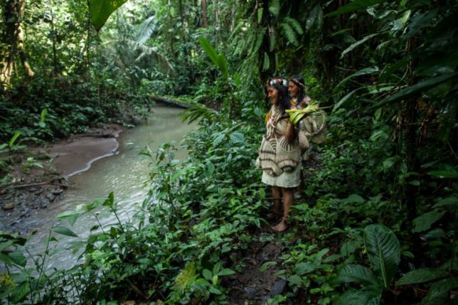 Waorani women in their ancestral territory, Pastaza, Ecuadorian Amazon. Photo Mitch Anderson / Amazon Frontlines