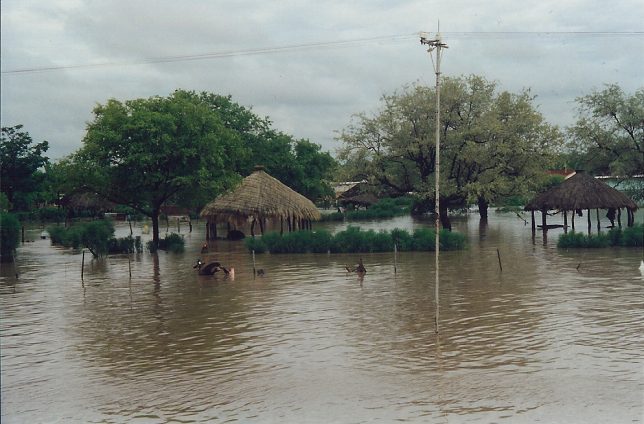Flash flood in Palapye, Central District, Botswana. Heavy rain caused a small dam to burst on the Lotsane River, which flows through the village. The mud walls of traditionally built houses dissolved like icing sugar, leaving just the roofs: the breeze-block buildings in the background survived intact. A young goat has become entangled in a wire fence and drowned, but it's believed no human lives were lost. Taken 1995 on film. Author: JackyR, CC BY-SA 3.0