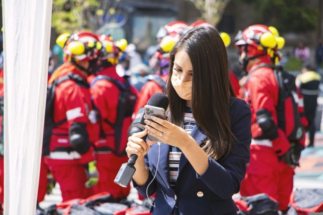 Woman reporter looking at a smartphone. Pixabay License.