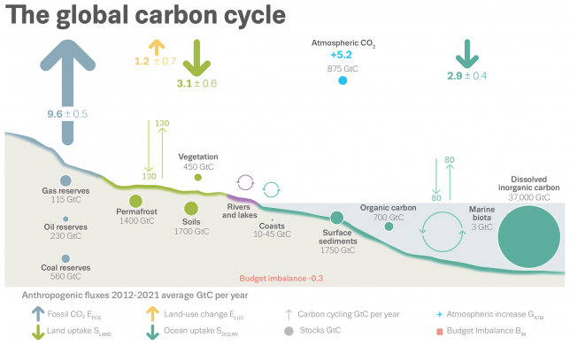 Schematic representation of the global carbon cycle