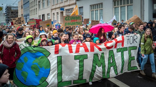 Fridays for Future climate march. Photo by Mika Baumeister on Unsplash.