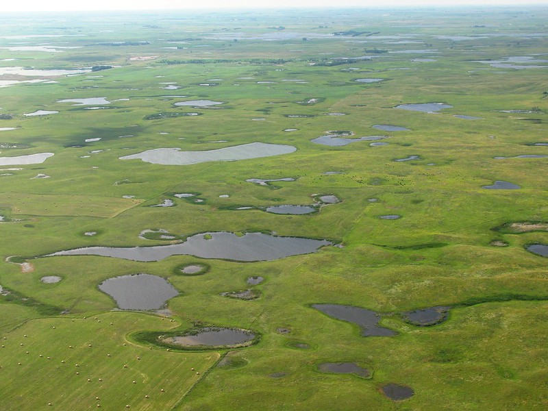 Many ecologically important wetlands, like these in Kulm, N.D., lack surface connections to navigable waterways. USFWS Mountain-Prairie/Flickr, CC