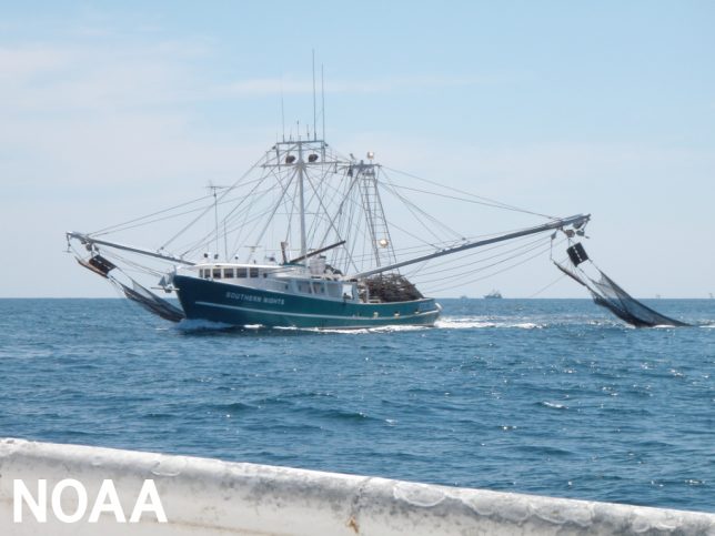 A shrimp boat trawls for shrimp in the Gulf of Mexico. (Image credit: NOAA Fisheries)