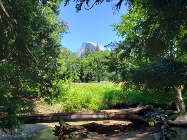 Yosemite Valley, among the trees, in June 2023