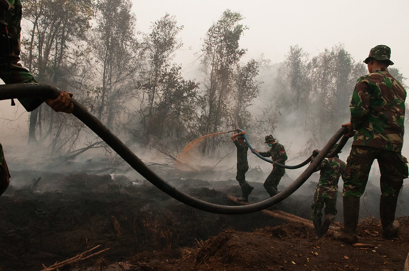 Military might. Army officers try to extinguish fires in peat land areas, outside Palangka Raya, Central Kalimantan. Photo by Aulia Erlangga/CIFOR.
