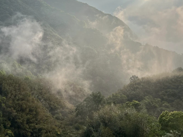 Evapotranspiration rises off the forest in the mountains of Ren'ai Township, Taiwan. Credit: Erica Gies